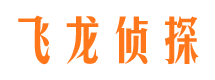 南岳市侦探公司